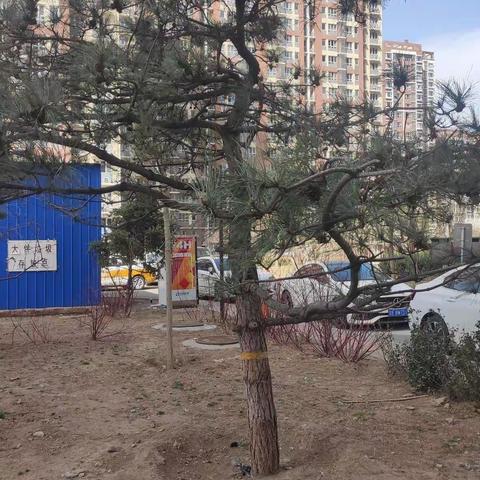 愿小区越来越美