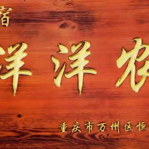 美洋洋农家乐—今日一片喜洋洋！