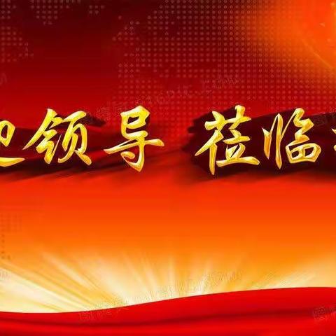 县委常委、宣传部长马艳萍一行莅临我园检查指导疫情防控及开学准备工作