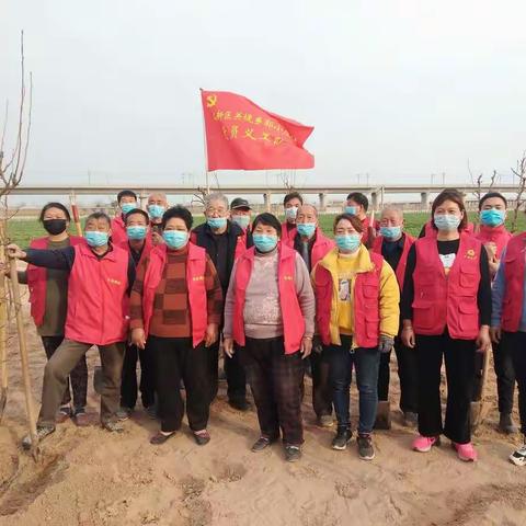 党旗引领同劳动，共添新绿美村庄
