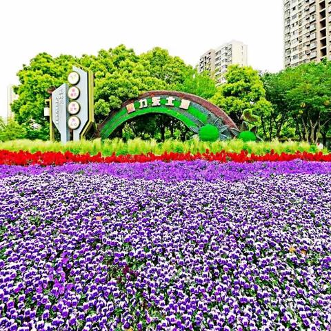 一桥一风景，一路尽繁花