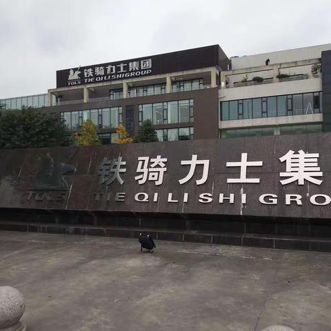 千里之行，始于足下——和铁骑力士一起走过的日子