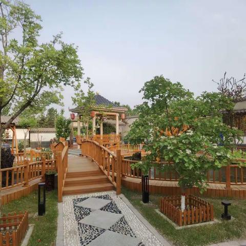 塔乡儿女的美篇