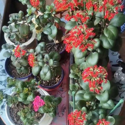 塔乡儿女的美篇