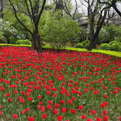 塔乡儿女的美篇