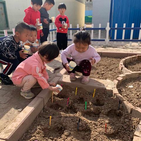 忙忙碌碌的种植园