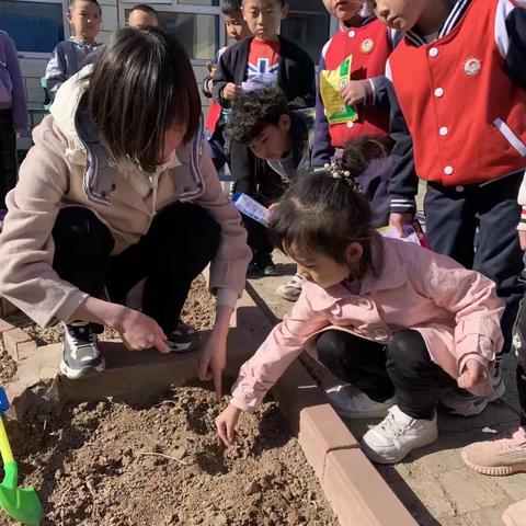 我们的蔬菜成熟啦