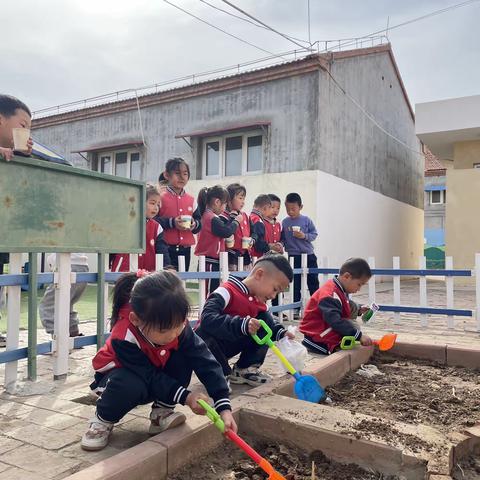 春天的种植园里好忙呀