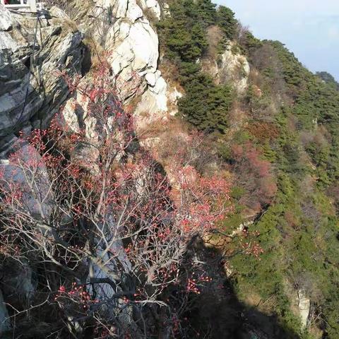 重阳乐游蒙山