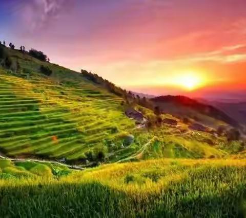 9月23周五-25周日三天，紫鹊界梯田秋收季摄影活动