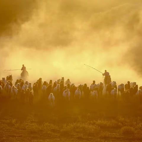 2022年9月23日至30日 坝上秋色、金山岭长城摄影团