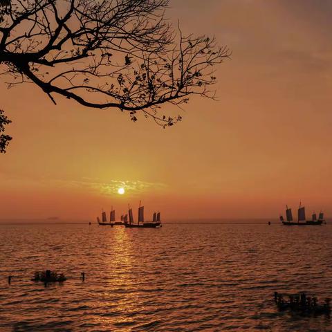 佳作欣赏（总159期）中国摄影人交流平台（2022/11/15)