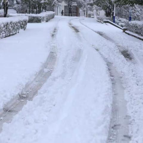 新春佳节，天降瑞雪