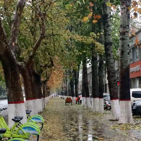 冬雨中的最美橙衣人