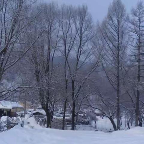 真情洒满风雪路                                                   脱贫攻坚战犹酣