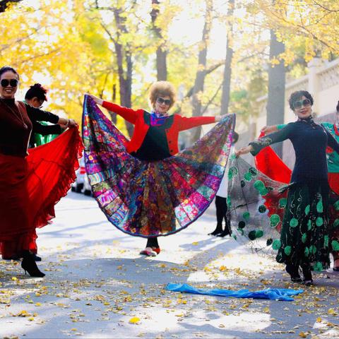 （吉他徐）（0206）拍摄于青岛八大关银杏大道、美丽的青岛欢迎您！