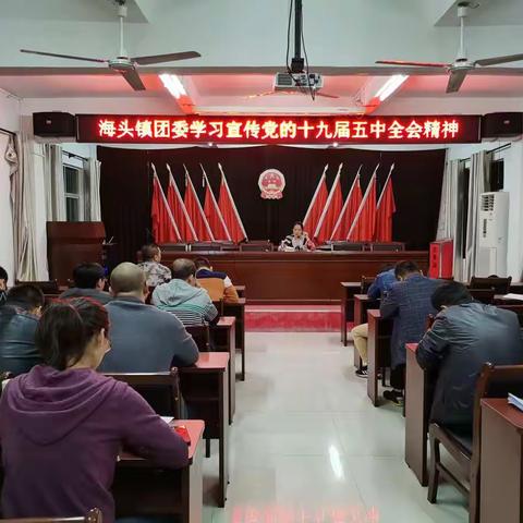 海头镇团委学习宣传党的十九届五中全会精神