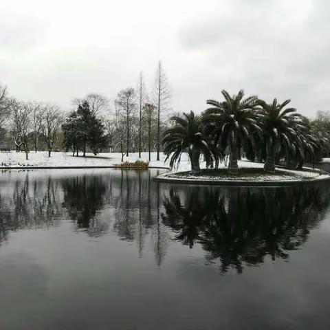 江南雪景