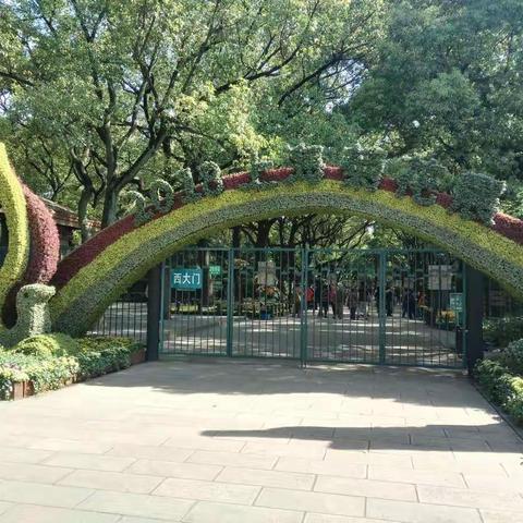 共青森林公园菊展
