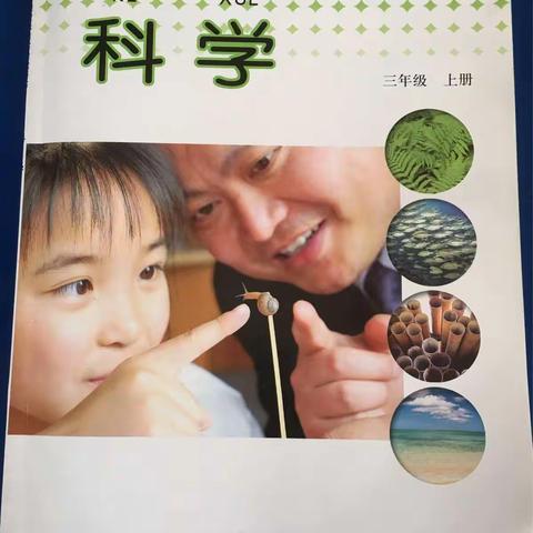 小学教科版三年级科学上册《蚂蚁》