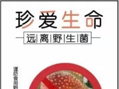 弋阳县食品安全办、弋阳县市场监督管理局提醒您：珍爱生命，切勿采食野生蘑菇！