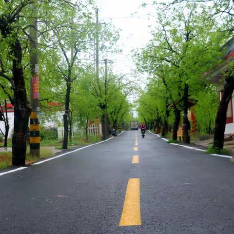 最美街巷—峄城区阴平镇斜屋村