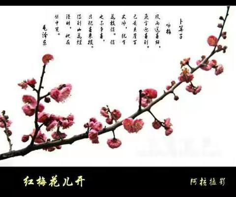 2019年寒假放假通知与安全致家长书