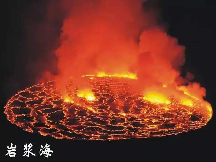 科博会上能看到地球上最古老的岩石阿卡斯塔石和上海最深的岩石申深石