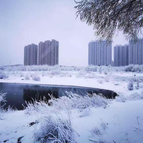 一首以雪为主题的歌词