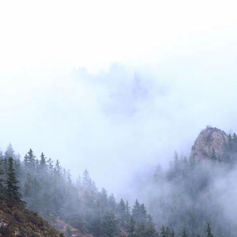 云雾缭绕梦烟雨，人间仙境云庄寺