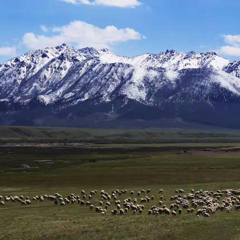 永昌县2023年“六·五世界环境日” 部分摄 影作品展