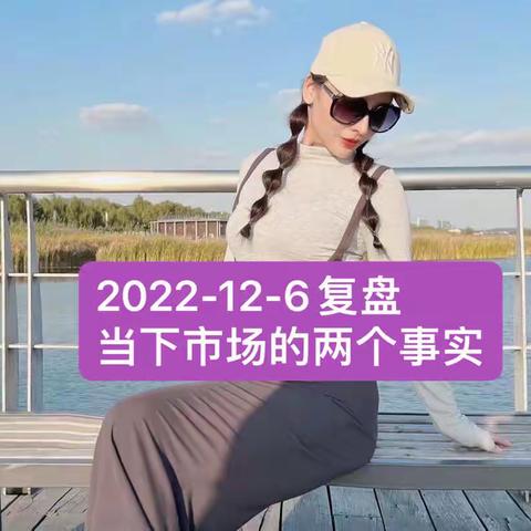 2022-12-6复盘“当下市场的两个事实”