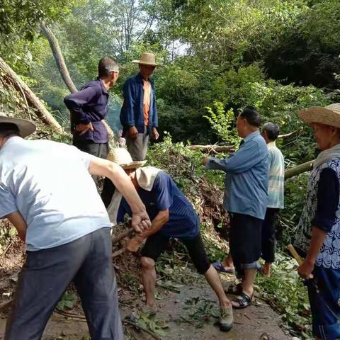 洪灾过后，他们在干啥？