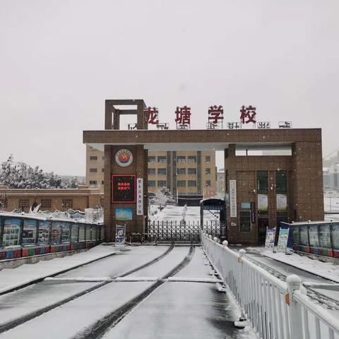 雪落惊艳了校园