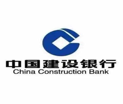湖北建行民意支行网点服务标准化流程导入项目总结