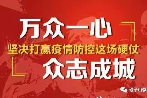 “使命担当默默奉献”––碾子山区住房保障服务中心志愿者工作纪实