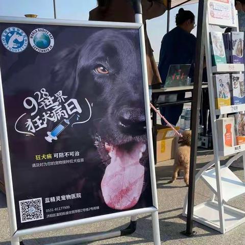 济阳区积极开展“世界狂犬病日”宣传活动