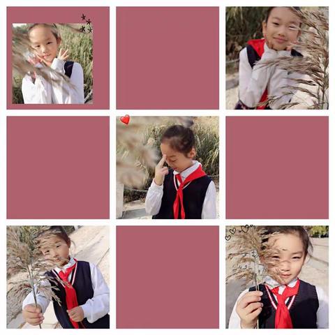 寻秋色🍂—泗阳经济开发区学校国三（3）孔雀草中队秋季实践活动