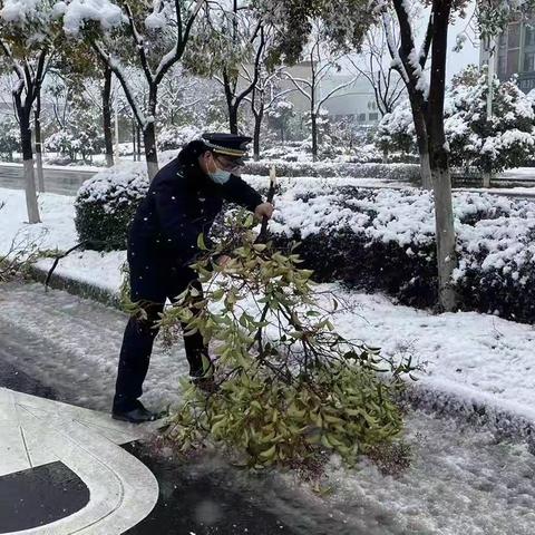 新年伊始迎初雪 融雪防冻护安全