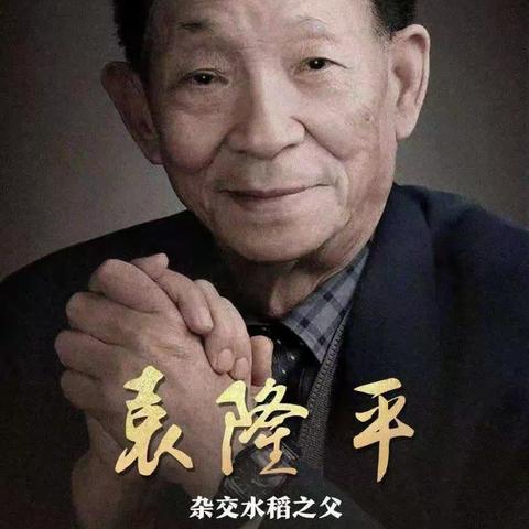 《禾下乘凉梦，一稻一人生》～杂交水稻之父～袁隆平爷爷