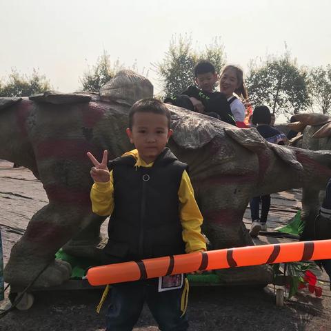 大陶的周末生活