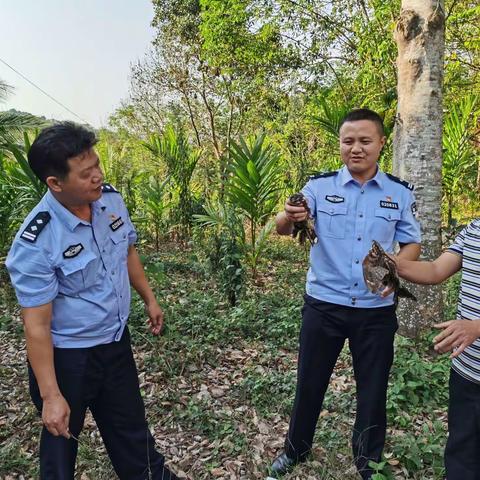 积极发动，辅警家属主动解救两只猫头鹰回家！