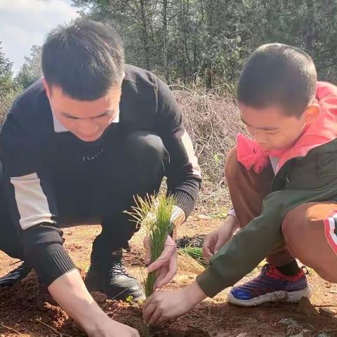 大手牵小手、耕种绿色、共燃希望——记广宜党建加队建“学雷锋 绿色行”义务植树劳动教育活动