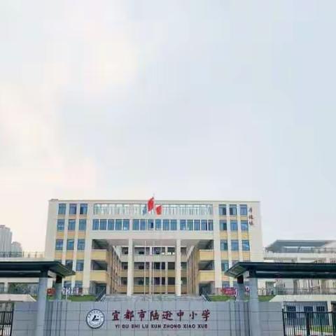 欣欣而生浅露角，悠悠同行教研路——陆逊中小学小学部数学教研组工作学年回顾