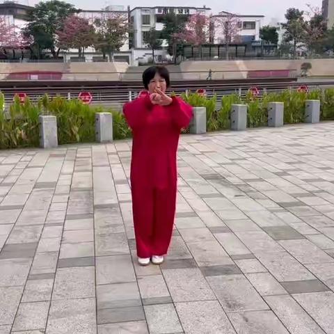 晨练太极拳