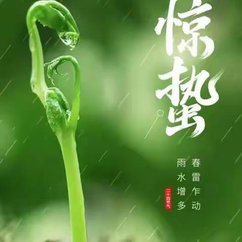 【浐灞学前教育】“春雷响·万物长”——西安浐灞北辰第二幼儿园二十四节气之惊蛰