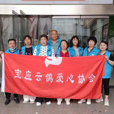 宝应县云鸽爱心协会“品味端午，传承文明”主题活动！