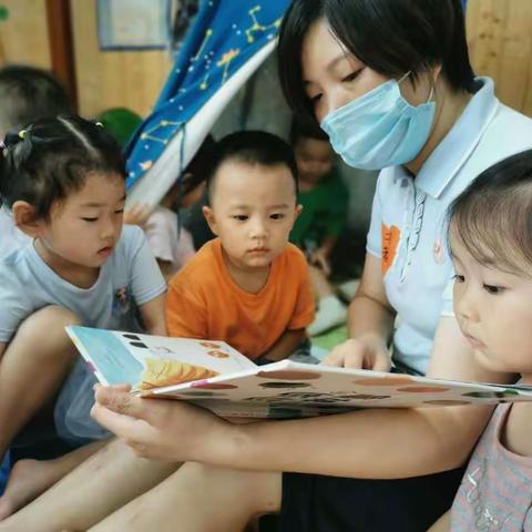 小白果美好的一天