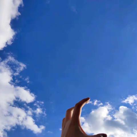 这是一篇温暖的文章，在这个特殊的冬天似乎只关于生活与爱❤️