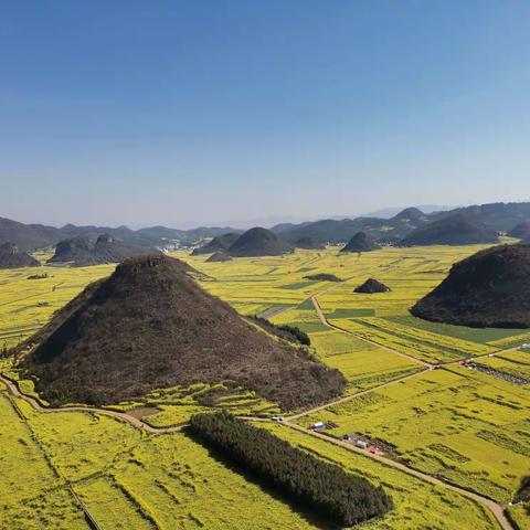 那山  那水 那花 ，向美行进